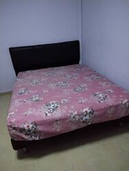 Blk 284 Ficus Vale (Yishun), HDB 3 Rooms #546462821